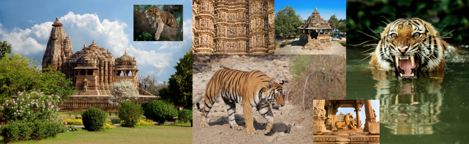 Indias Temples and Tigers Tour - ATOL T7408 India Specialists